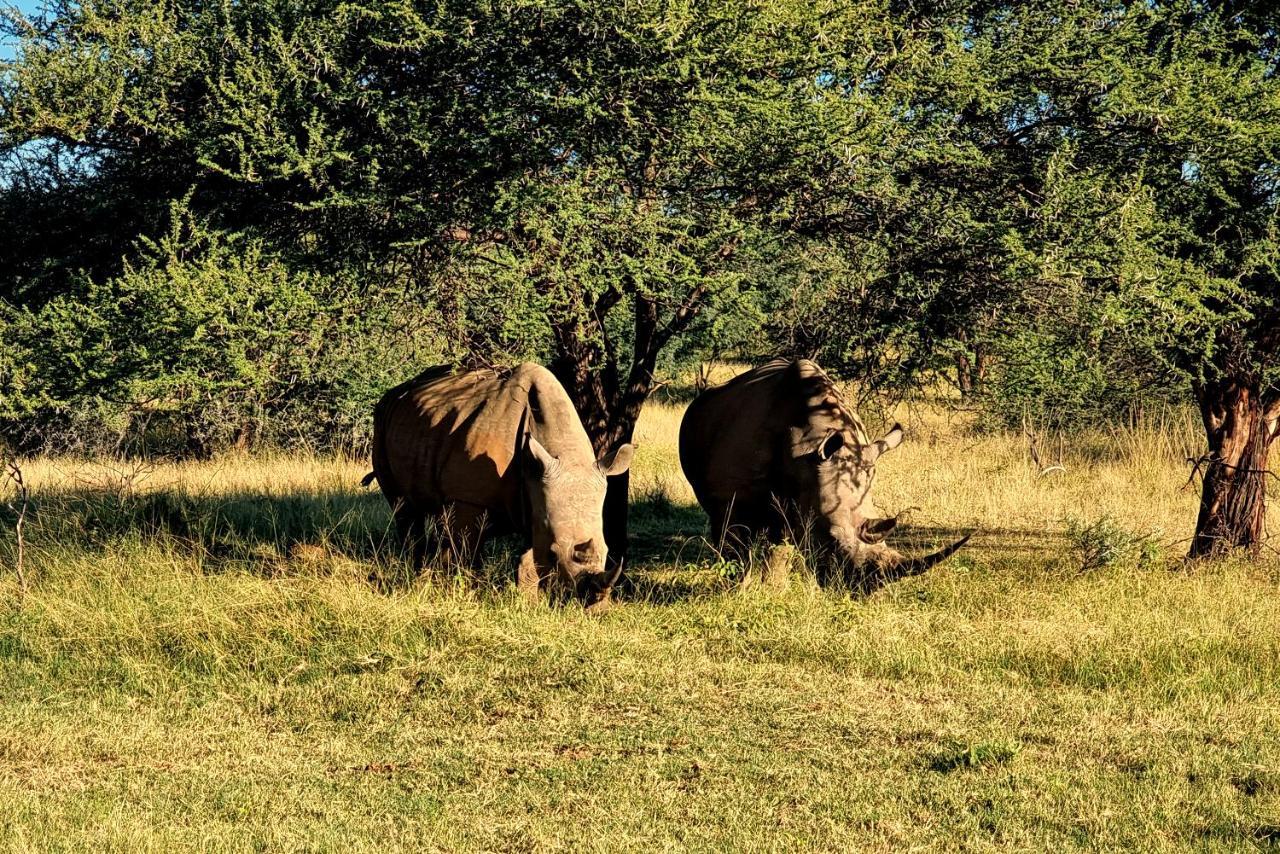 Phumelo Lodge Bela-Bela Dış mekan fotoğraf