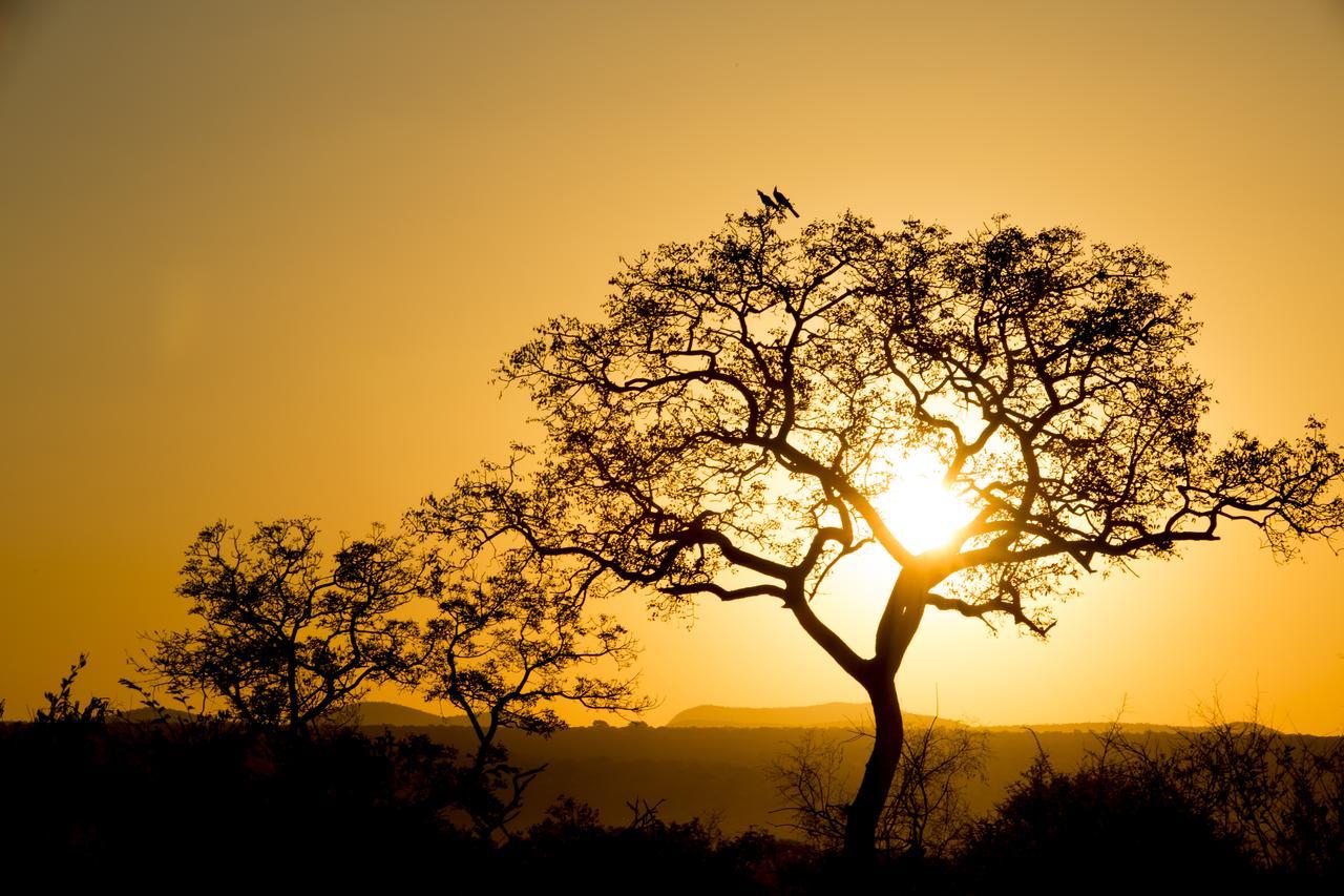 Phumelo Lodge Bela-Bela Dış mekan fotoğraf