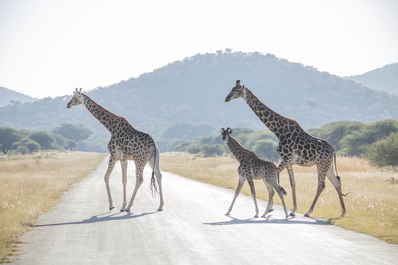 Phumelo Lodge Bela-Bela Dış mekan fotoğraf