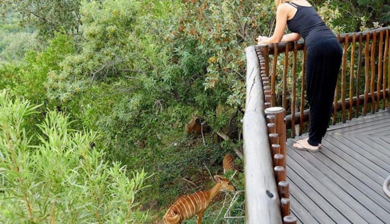 Phumelo Lodge Bela-Bela Dış mekan fotoğraf